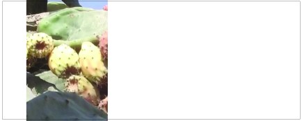 Blogphoto_4b_11-2015