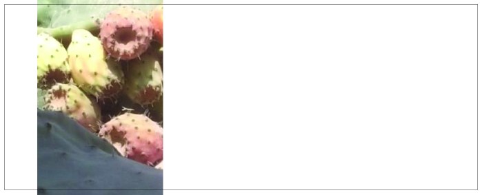 Blogphoto_2_11-2015b